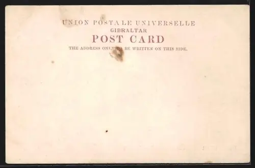 AK Gibraltar, Alameda Gardens & Dock Yard