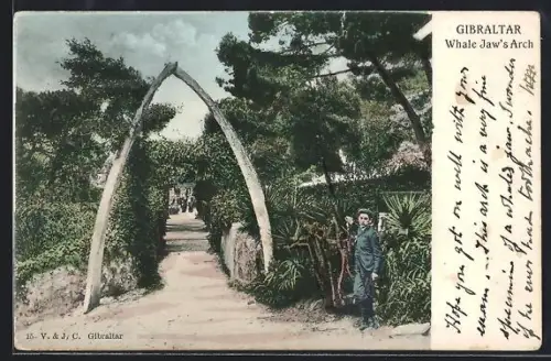 AK Gibraltar, Whale Jaw`s Arch