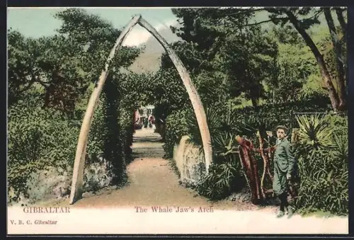 AK Gibraltar, Whale Jaw`s Arch, Portal aus Walkiefer
