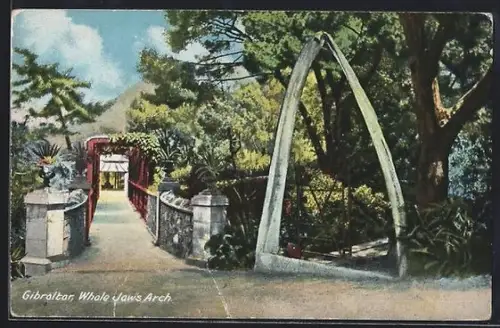 AK Gibraltar, Whale Jaw`s Arch, Panorama