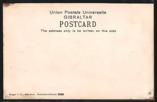 AK Gibraltar, Alameda Gardens with Visitors