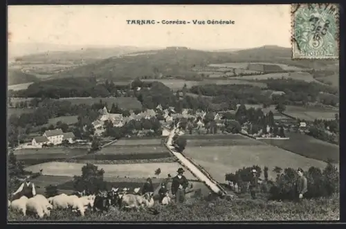 AK Tarnac /Corrèze, Vue générale du village avec troupeau de chèvres au premier plan
