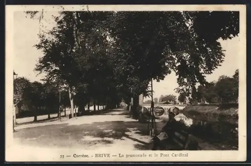 AK Brive /Corrèze, La promenade et le Pont Cardinal