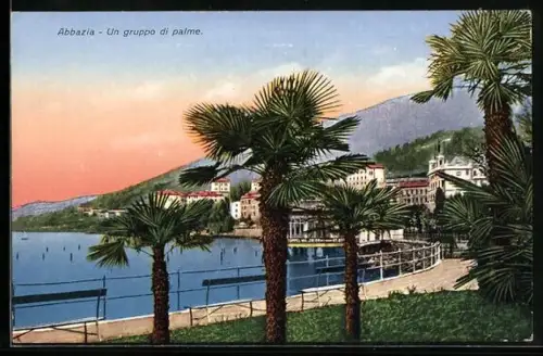 AK Abbazia, Un gruppo di palme, Ein Gruppe Palmen vorm Wasser
