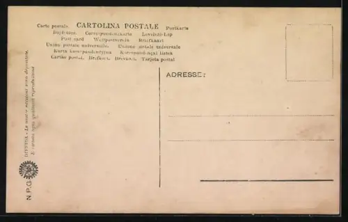 AK Assisi, S. Daminao