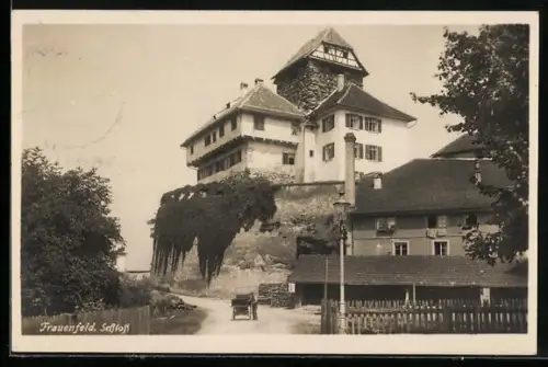 AK Frauenfeld, Strassenpartie mit Burg