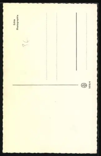 AK Katze mit weiss-schwarzem Fell sieht in die Kamera