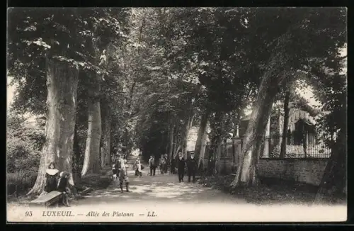 AK Luxeuil, Allée des Platanes