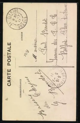 AK La Chaudeau /Vosges, Petit chalet dans le parc