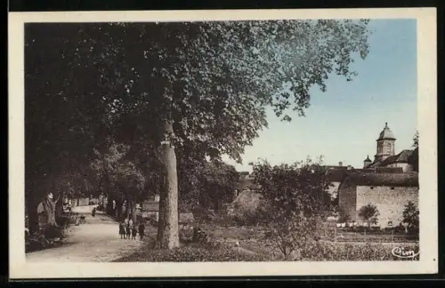 AK Vauvillers /Hte-Saône, Route de Demangevelle, promenade arborée et vue sur le clocher du village
