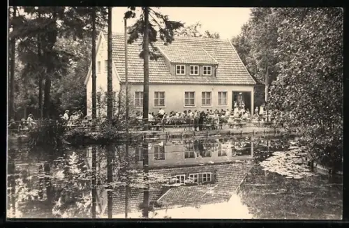 AK Schmiedefeld a. Rstg., Im Naturpark mit Besuchern