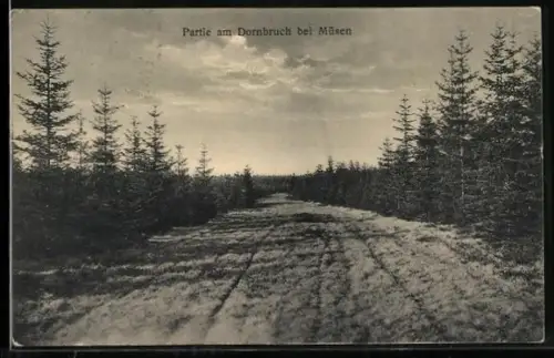 AK Müsen, Partie am Dornbruch
