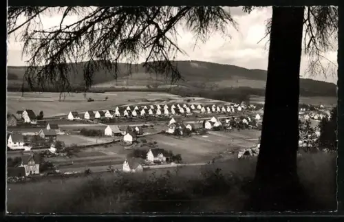 AK Müsen /Siegen, Totalansicht des Ortes aus erhöhter Perspektive