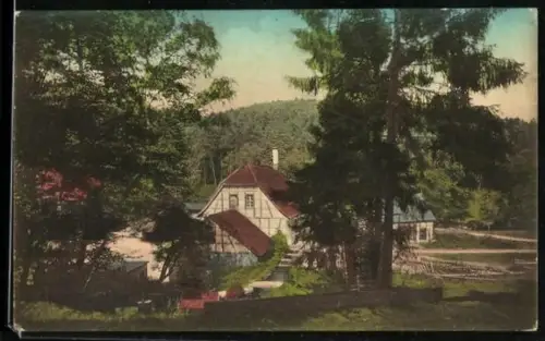 AK Eisenberg / Thüringen, Gasthof Froschmühle im Mühltal