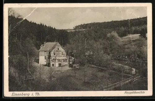 AK Eisenberg i. Th., Naupoldsmühle mit Grünanlagen