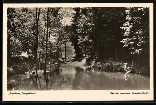 AK Vormwald /Siegerland, Am Freien Hof Schreiberg, Bänkenbach