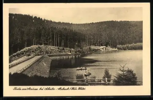 AK Scheibe-Alsbach /Thür. Wald, Wintersportplatz im Sommer mit Ruderern und umgebendem Wald