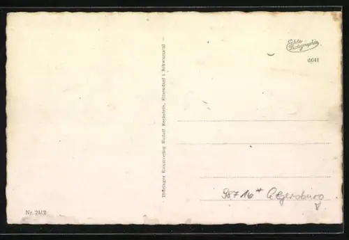 AK Elgersburg, Panorama des Ortes im Winter