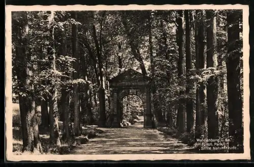 AK Waldenburg i. Sa., Fürstl. Park, Stifte Naturfreude