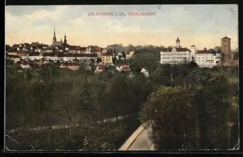 AK Waldenburg i. Sa., Blick zum Ort