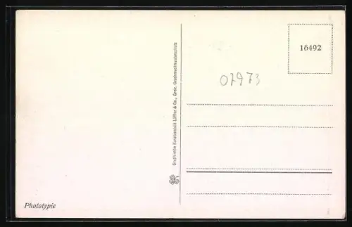 AK Greiz i. Thür., Panoramaansicht des Ortes