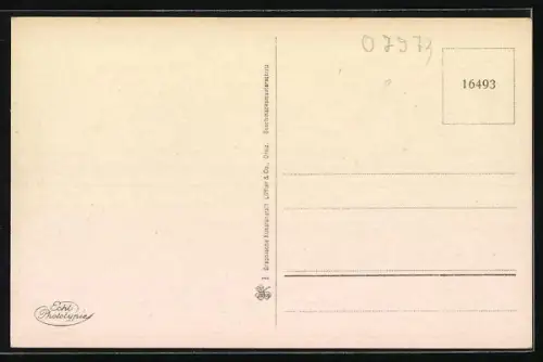 AK Greiz i. V., Ortsansicht mit Parkanlagen