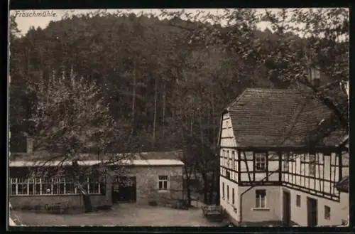 AK Eisenberg / Thüringen, Gasthof Froschmühle am Wald