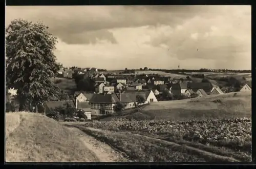 AK Weissenborn /Thür., Blick zum Ort