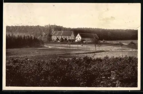 AK Klosterlausnitz /Thür., Gasthof zu den drei grauen Ziegenböcken, Bes. Karl Schlegel