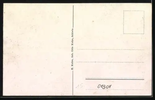AK Schleiz, Stadtansicht mit Kirche und Schloss
