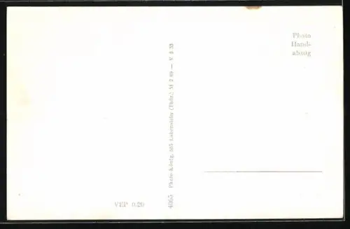 AK Ziegenrück an der Saale, Ortsansicht aus der Vogelschau, Flusspartie, Wappen