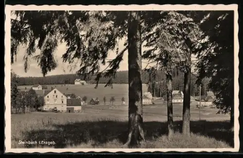 AK Steinbach bei Johanngeorgenstadt, Ortspartie mit Bäumen