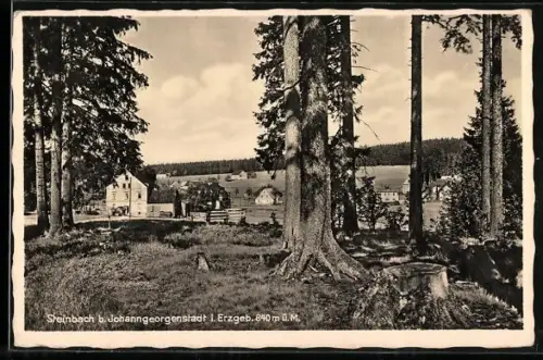 AK Steinbach b. Johanngeorgenstadt, Ortspartie