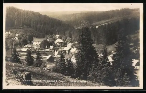 AK Wildenthal i. Erzgeb., Teilansicht aus der Vogelschau