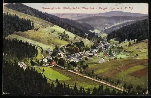 AK Eibenstock i. Erzgeb., Wildenthal mit Strassenpartie
