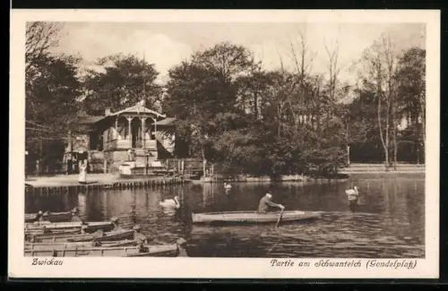 AK Zwickau, Partie am Schwanenteich (Gondelplatz)