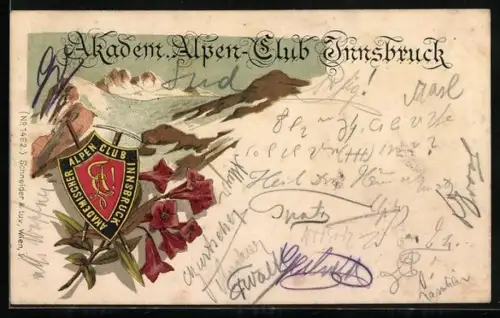 Lithographie Innsbruck, Wappen des Akademischen Alpen-Club Innsbruck, Alpenrosen, Gletscherregion in den Alpen
