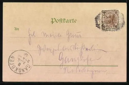 Lithographie Bregenz, Ortsansicht aus der Vogelschau mit Pfänder-Hotel, Weinstube Kinz zum Bürgermeister