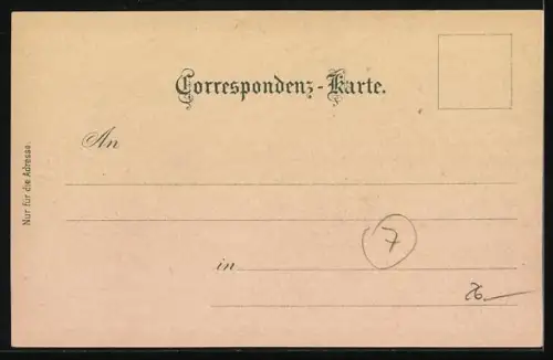 Lithographie Feldkirch, Marktgasse, Churer-Thor, Illschlucht, Ortsansicht