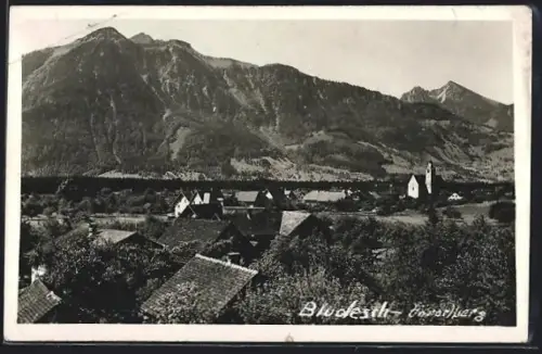 AK Bludesch /Vorarlberg, Ortsansicht mit Kirche