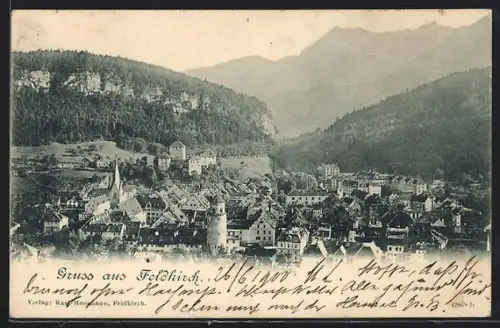 AK Feldkirch, Teilansicht mit Bergen