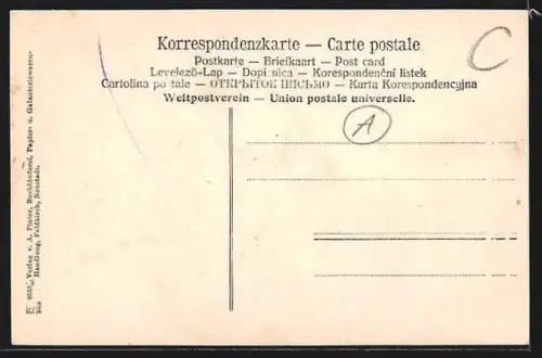 AK Feldkirch, Totalansicht