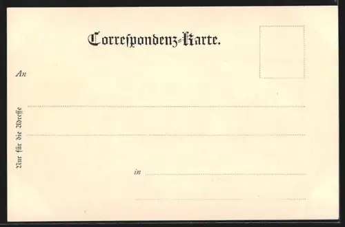 AK Feldkirch /Vorarlberg, Totalansicht mit Gurtis-Spitze