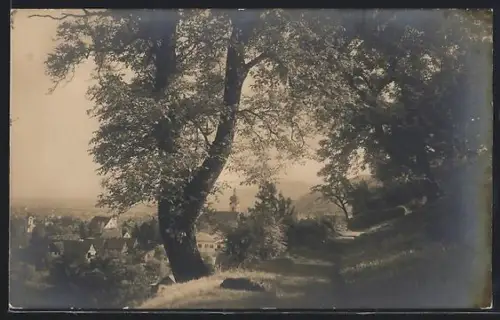 AK Dornbirn, Ortsansicht, Zanzenberg