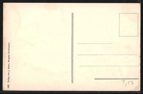 AK Feldkirch, Gesamtansicht mit Gurtis Spitz