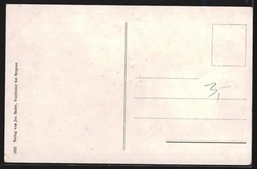 AK Feldkirch, Ortspanorama mit Bergen