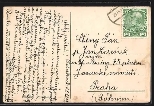 AK Feldkirch /Vorarlberg, Ortsansicht mit Gurtisspitze und Vorderälpele