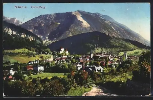 AK Feldkirch, Totalansicht