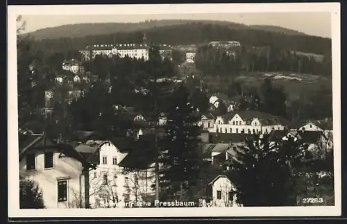 AK Pressbaum, Ortsansicht aus der Vogelschau