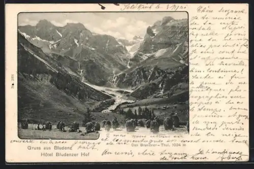 AK Bludenz, Blick ins Brandner-Tal